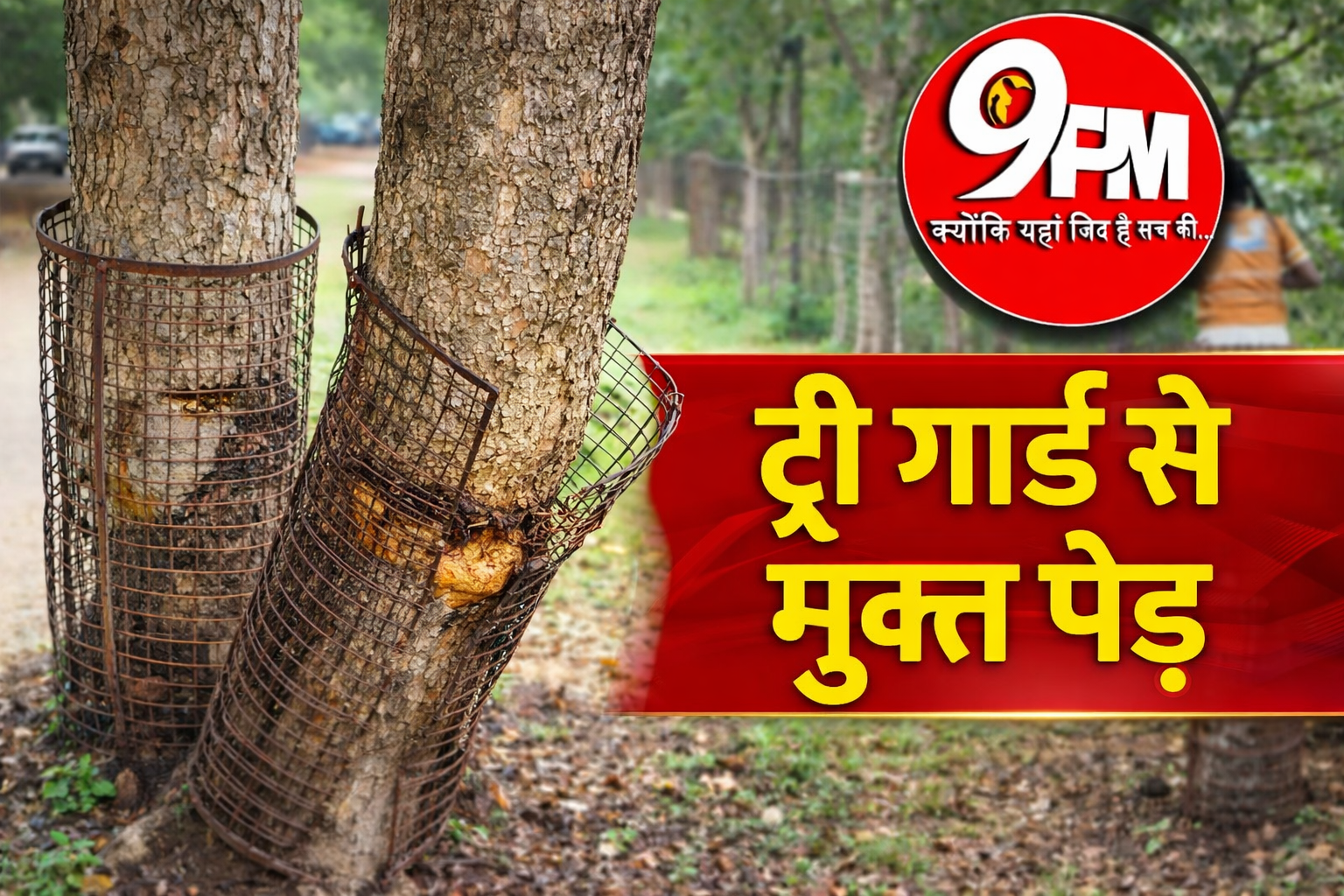 करनाल में पर्यावरण की बड़ी जीत: ट्री गार्ड से मुक्त हुए 2800 पेड़, एक समाजसेवी की मुहिम बनी मिसाल